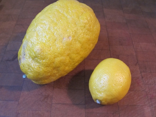 cedrolemon_compare