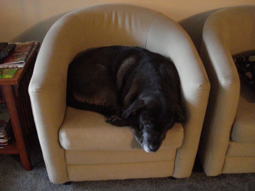 tula_chair