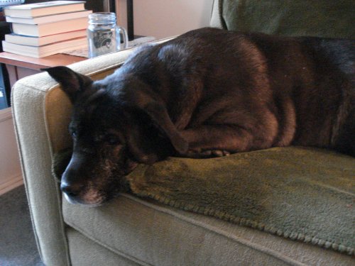 tula_newsofa
