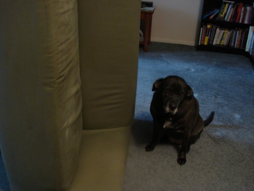 tula_oldsofa
