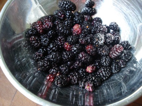 mulberry_bowl