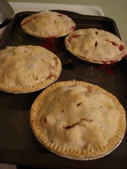 babypieall