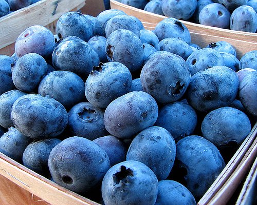 blueberries